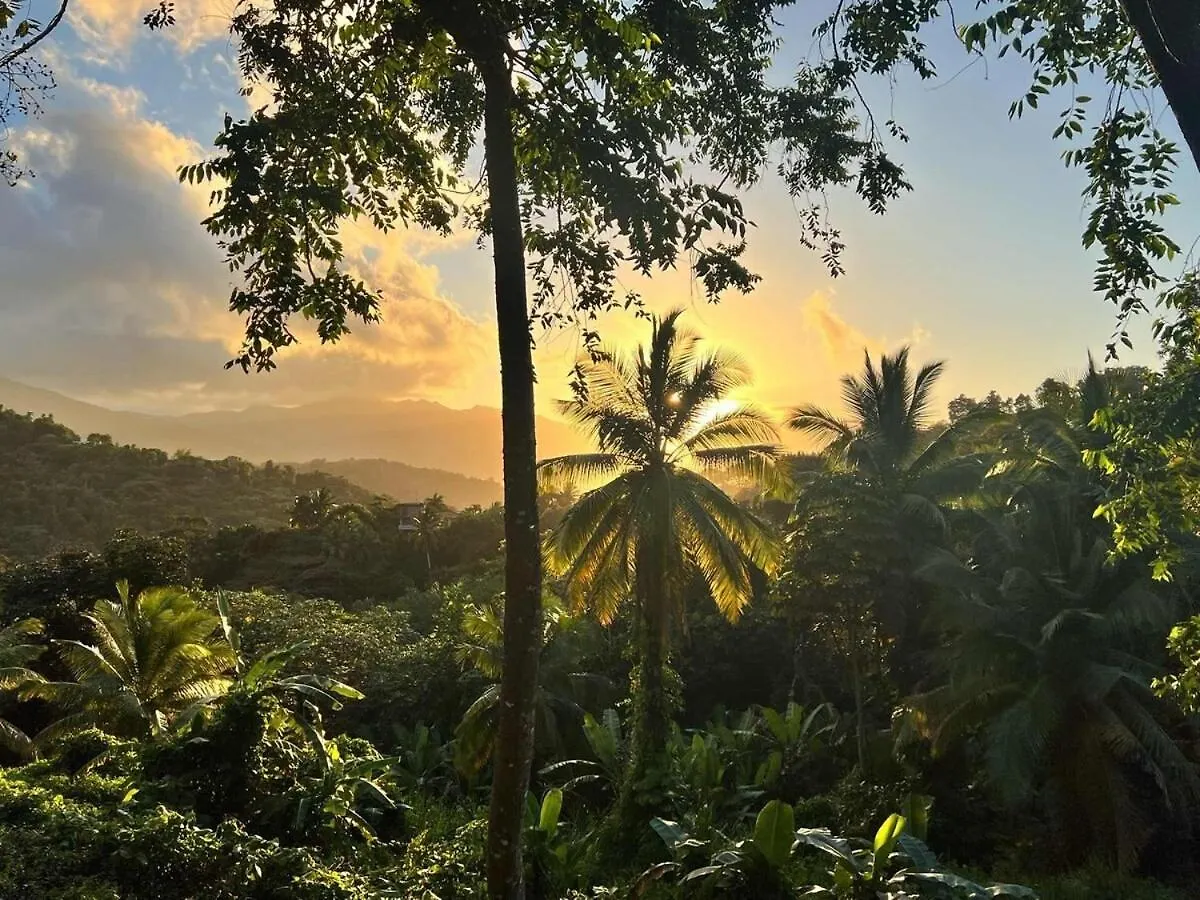 Finca De Jungla Rainforest Retreat location