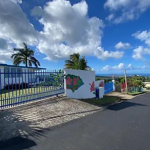 Million Dollar View In Puerto Rico Luquillo